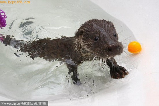 ˮ̡�¶���ˮ����Ϸˮ��