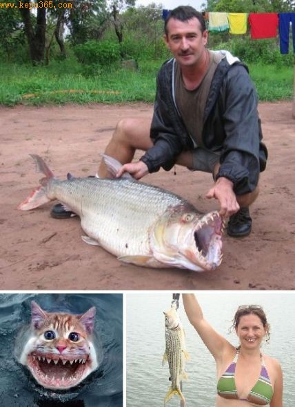 ŷ�޺ͱ����޺ܶ�ˮ��ݹ�Ӧ�̲ɹ���ͨ���㣬�����ǵ��峤����7��8Ӣ�磨��Լ18���ף�ʱ������۸����㰮���ߡ�