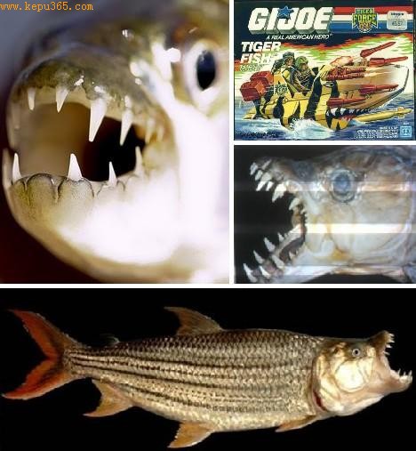 ʵ�ļ���Ϳ���ġ����ǹ��һ����β�ͣ�ʹ���ǿ���׷�����󲿷����