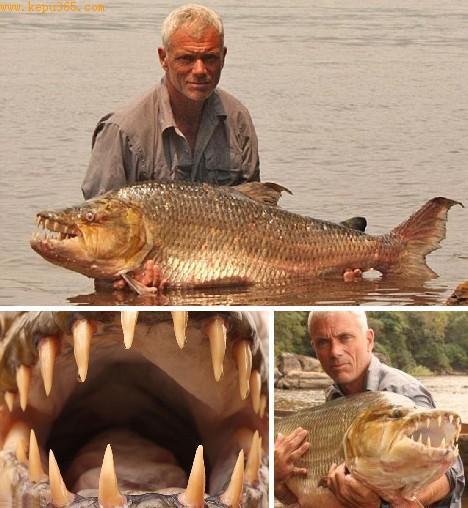 ά����һ�����������ն������������������8��ʱ��Ű������ϰ�����˵��&ldquo;����һ���޴��ˮ���㣬���൱��&rdquo;