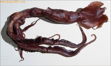 �������㳤Լ70���ף�ӵ��������������ķ������١�