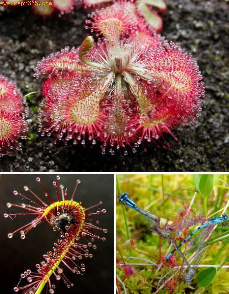 ������������é���