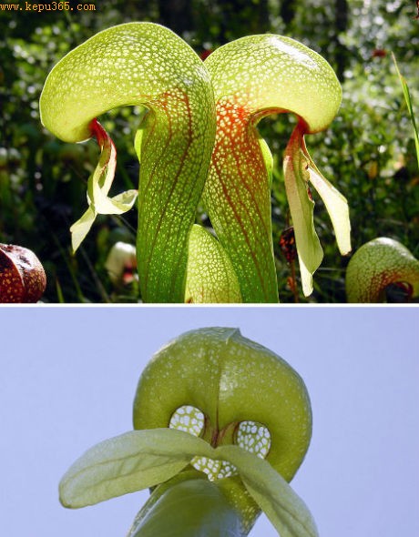 �۾�������