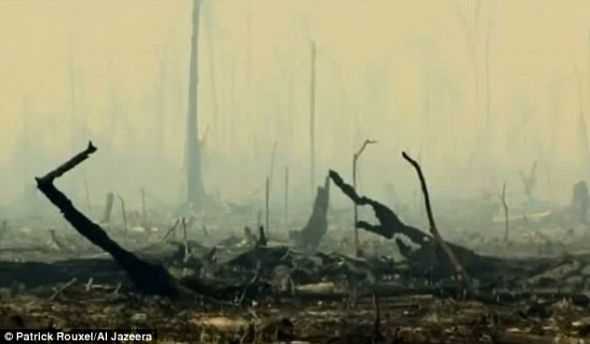 �ٻ���ר����Ϊ��ÿ��ӡ����������Լ200����ɭ�ֱ��ջٻ򿳷���