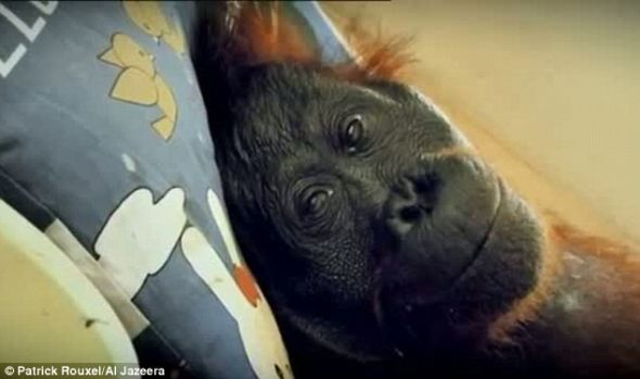 ¬ɪ������3��ʱ��������֡��ɱ����ǣ��������̱������δ�ܵõ��κξ��Σ�ֻ���ڱ����е�����