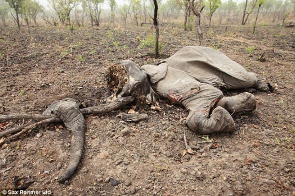 ͵����������������������ʬ����֮һ��