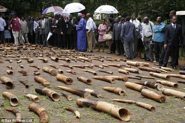 ��Ȼ��ֹ����ó�ף���������ǰ���ܶ�͵���߽���ɱ�����޹��Ĵ���