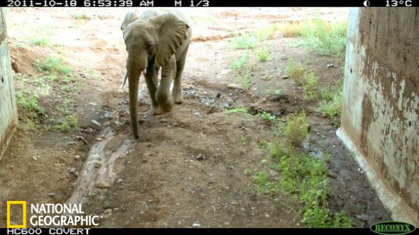 �ָ�Ǩ��·��