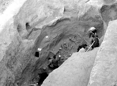 �����͹����ź�