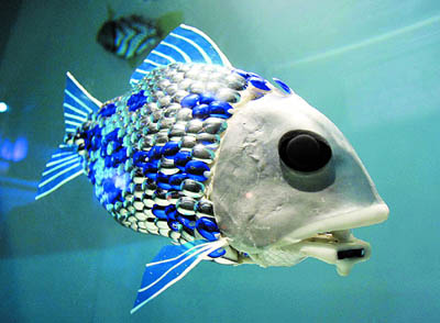 Ӣ����ѧ����ƵĻ����� (ͼ)