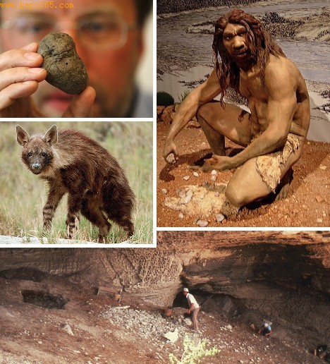 �໯ʯ�ڷ������������ë��