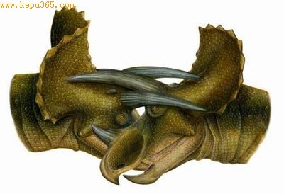 “恐龙兵器库”大盘点 暴龙将猎物抛半空吞食