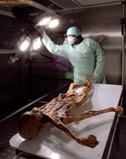 ���˰�����������������