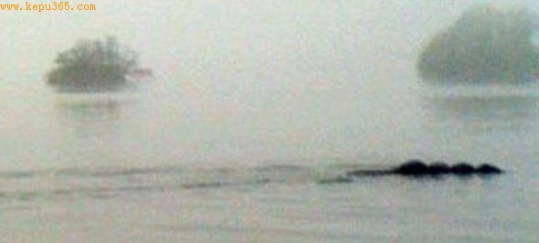 IT ��˾Ա����ķ��Ƥ����˹���µ��׶����ĵ��ġ��Ϲ���˹����Ƭ��