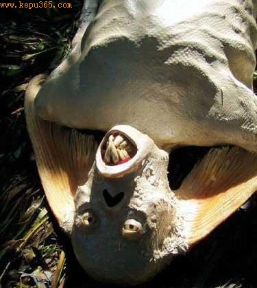 ̽�ش���������ʧ�ں��׵������˻���(��ͼ)