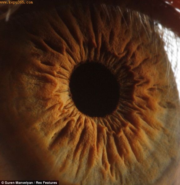 ���۵ĸ��ӽṹ����ȥ����ӿ����ݵĻ��Ǳ���