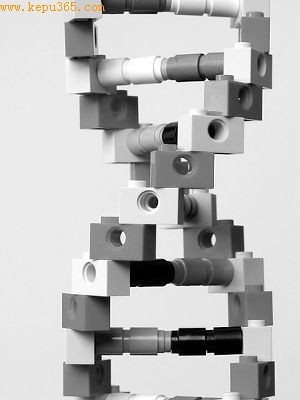 CG��˾�Ļ������������ȫ�ɻ��������