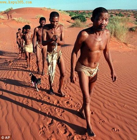 ڿɳĮĲ(Bushmen)ĿǰȫһСԾΪȺ֮һ