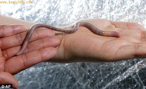 ��ѧ���������о��з��֣�ͨ�����Է�ֳ���������Ⱦ����������