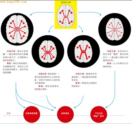 ���ǿ����޷���ø�����