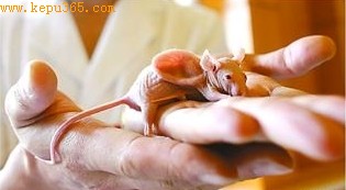 ��973����Ŀ��ϯ��ѧ�Ҳ����ֿ����Ŷ��ֳ�չʾ�Ѵ��6-8�ܵġ��˶��󡱻�Ӧѧ��������� �������� ��ü �ֳ�ͼƬ