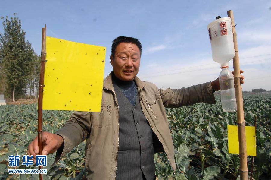 �����ڼ���һ�ҳ���������ġ��л�ʳƷ��10��26����ƴ����Ƭ��