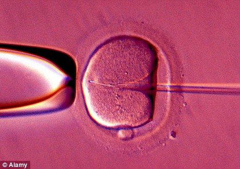 ר�ҳƣ����ֱ�����������Ʋ��þͻ�������������Ϊ�о���ʾ�����䶳���������Թ��ܾ�����Ч��