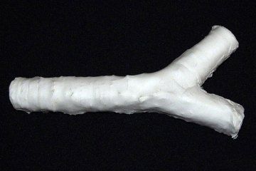 ʵ��������������֯