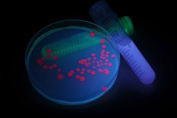  ����΢�������û���