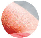 ��Ƥ����Ľ���