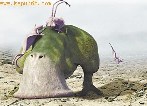 ����������������