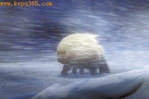 ����������������