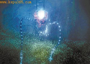 ����������������