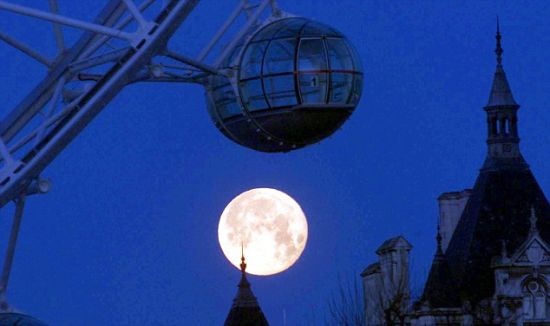 ��������������溬�зḻ��������