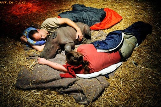 һͷ����Ϭţ����������������Ա�м���˯