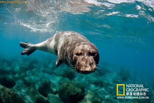 �������� ������Ⱥ��