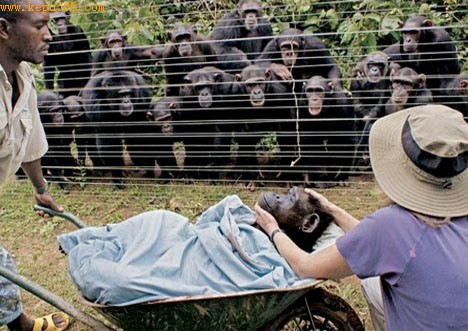 �����ɻ���ͬ����ȥ���뱯ʹ