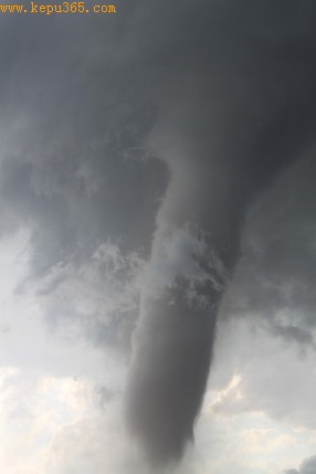 ׳�۵�©����