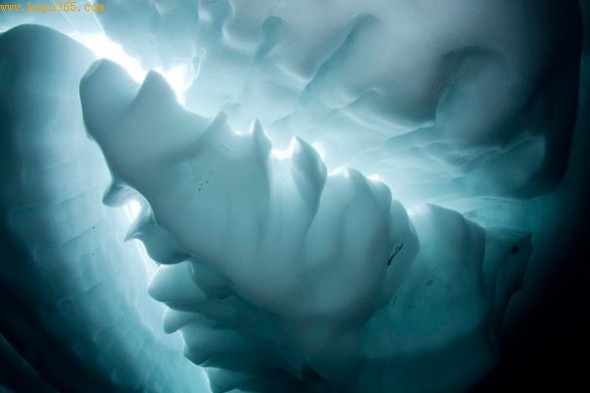 ��Ƭչ������ʿ�����޺�һ�����������صġ������硱��