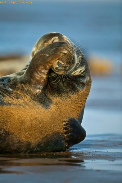 �Һ�����Ӣ��Ӣ�����ֿϿ�