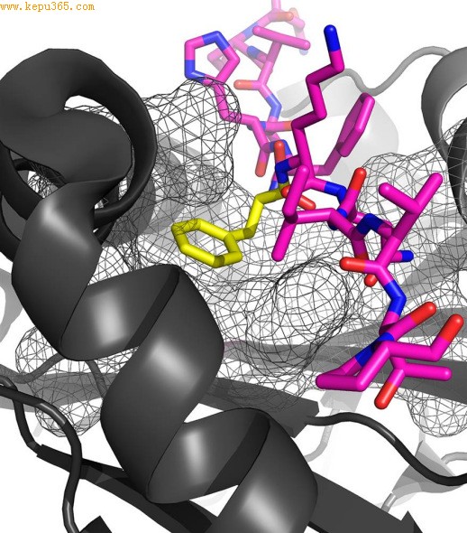 �ڴ��е���