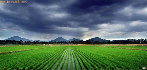 �Ƽ�ʱ��_ȫ���ů�������޵���25����ˮ������1��2��