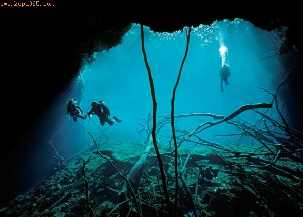 ������ʲ��Ѩ