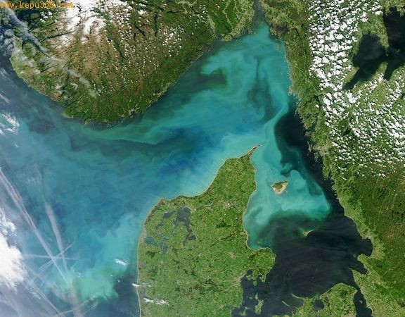 Phytoplankton blooms.