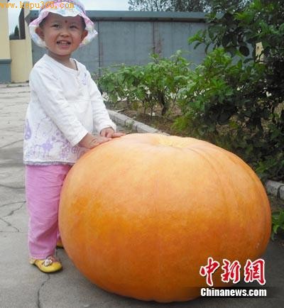 ɽ���ĵ��Ϻ������ֳ������Ϲ�(ͼ)