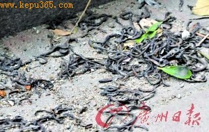 �Ƽ�ʱ��_���ݳ������������������������(ͼ)