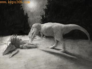 ������ͬ����е���������ͼ������Ү³��ѧ������ѧ����������һЩ��������ʯ�Ϸ��������ݺۼ�������Ϊ��ֻ�����������������µĺۼ�