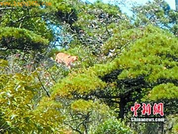 �Ƽ�ʱ��_�οͽ����ĵ����ƻ��ϻ� ���������������ϻ�