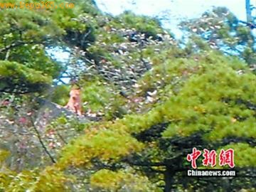 �Ƽ�ʱ��_�οͽ����ĵ����ƻ��ϻ� ���������������ϻ�