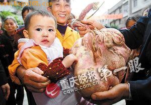 ���ͺ����һ����һ���С����ͷ��ࡣ